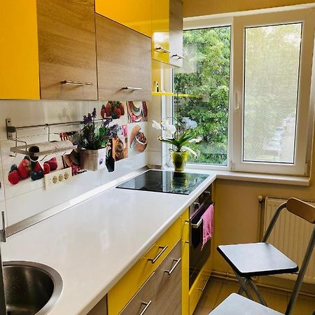 City Center Apartment Temeşvar Dış mekan fotoğraf