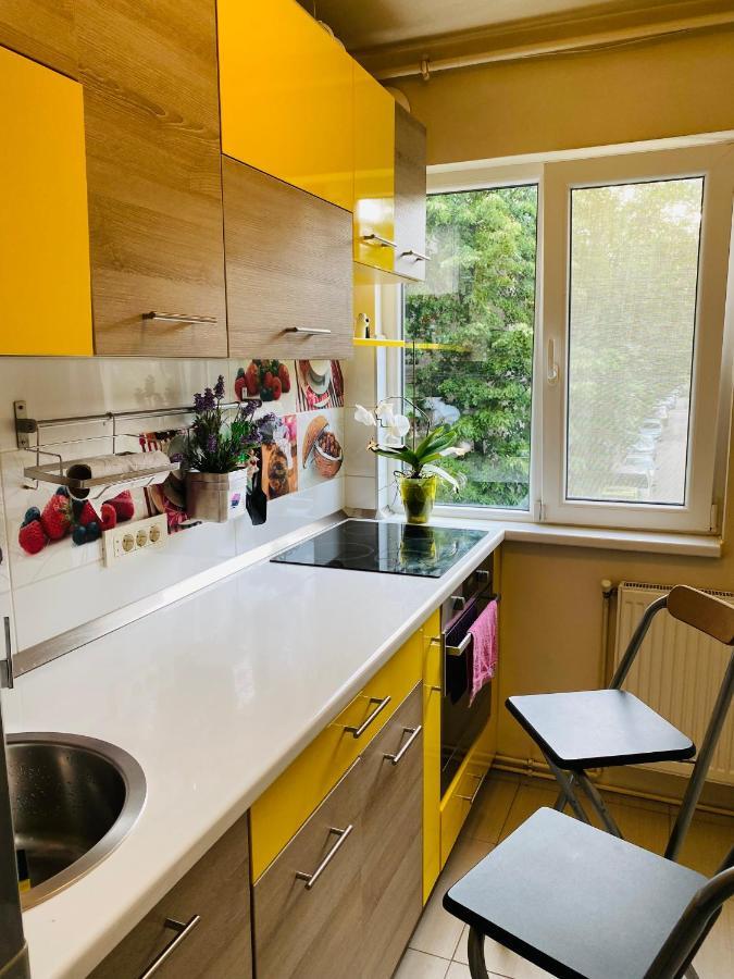 City Center Apartment Temeşvar Dış mekan fotoğraf