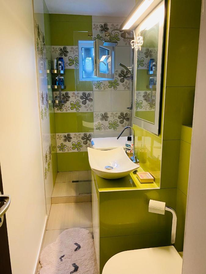 City Center Apartment Temeşvar Dış mekan fotoğraf