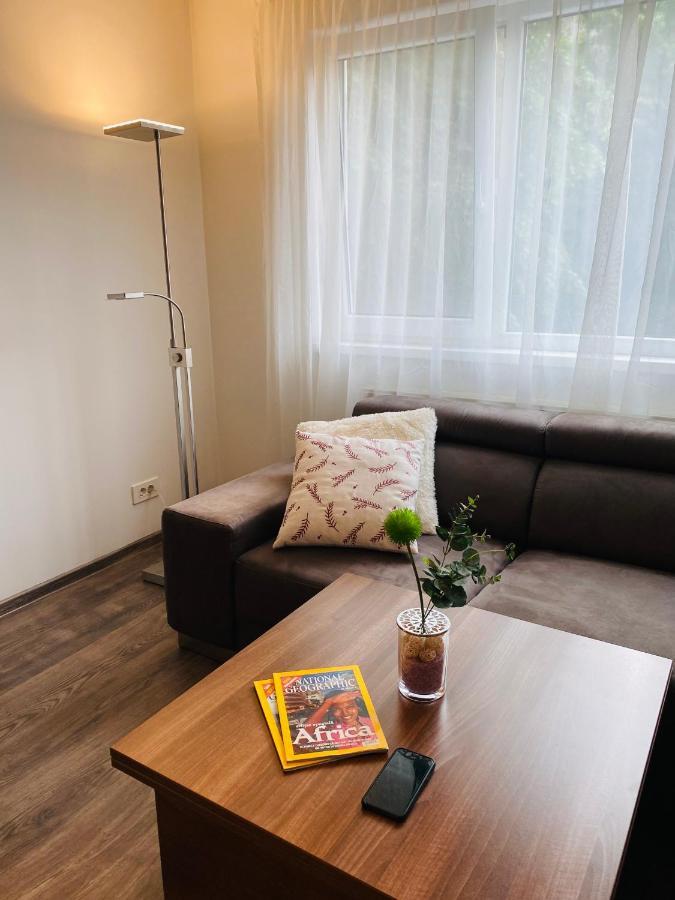 City Center Apartment Temeşvar Dış mekan fotoğraf
