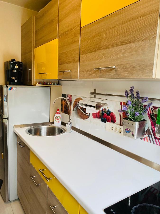 City Center Apartment Temeşvar Dış mekan fotoğraf